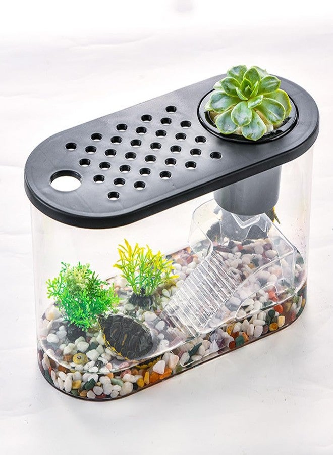 HIERYAN Small Turtle Tank Kit, Reptile Aquarium with Basking Platform, Decor Stones & Water Grass - Habitat for Turtles, Hermit Crabs, Fish - Ideal for Home or Office (12" x 6" x 12") - Image 1