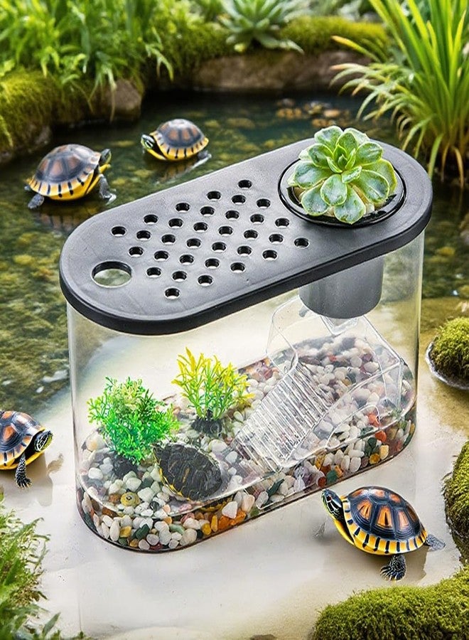 HIERYAN Small Turtle Tank Kit, Reptile Aquarium with Basking Platform, Decor Stones & Water Grass - Habitat for Turtles, Hermit Crabs, Fish - Ideal for Home or Office (12" x 6" x 12") - Image 3