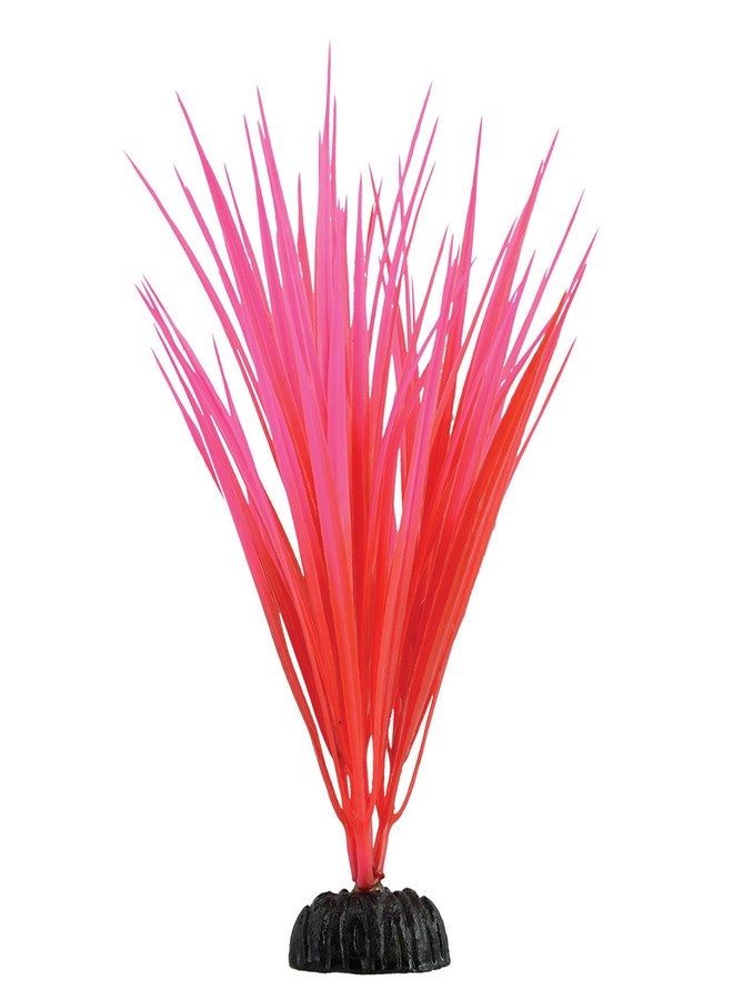 Underwater Treasures Rose Nile Grass - 7.5" - Image 2