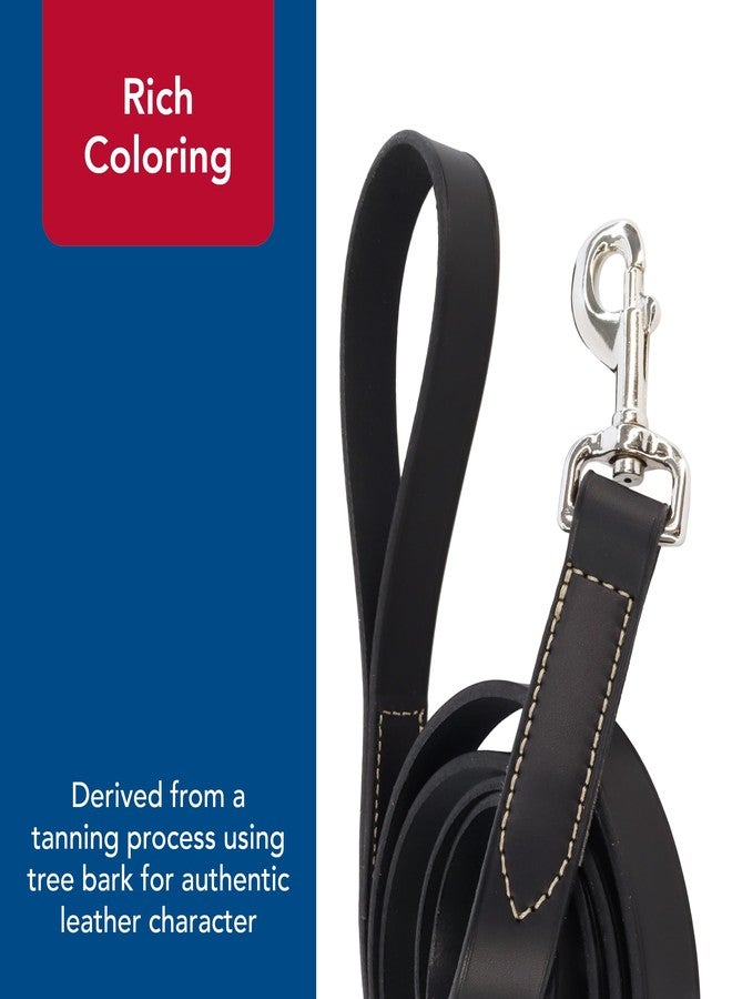 Coastal Pet Circle T Oak Tanned Leather Dog Leash - Durable Dog Accessory Perfect for Leash Training - Comfortable Tool for Puppies & Dogs Made from Full-Grain Leather - Black, 3/8" x 6' - Image 5