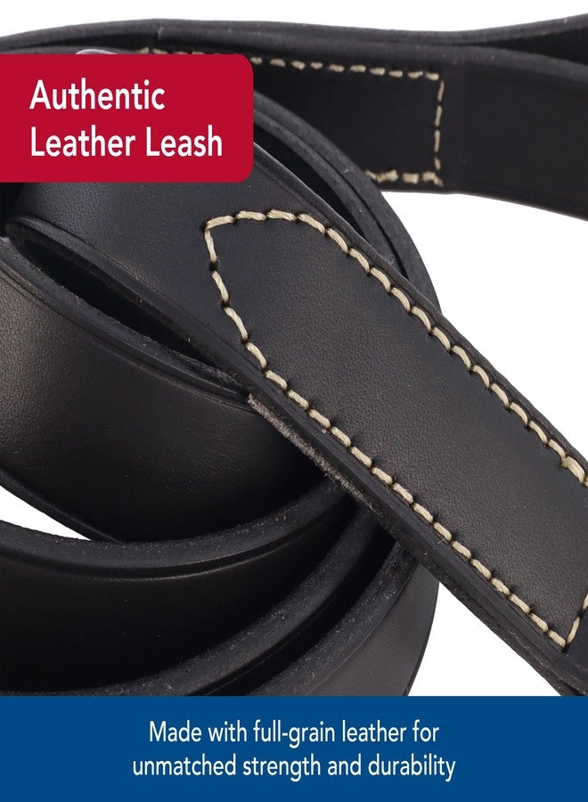 Coastal Pet Circle T Oak Tanned Leather Dog Leash - Durable Dog Accessory Perfect for Leash Training - Comfortable Tool for Puppies & Dogs Made from Full-Grain Leather - Black, 3/8" x 6' - Image 3
