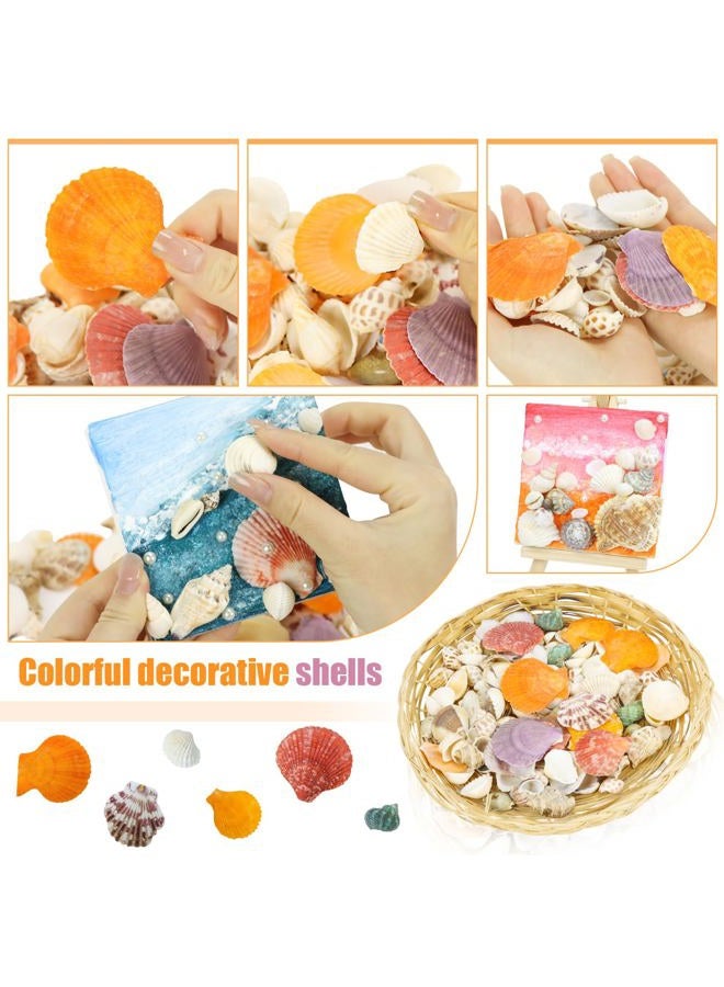 Weoxpr Mixed Sea Shells, 100+ Pcs Beach Seashells Starfish, Various Sizes Ocean Seashells for Fish Tank Vase Fillers, Beach Theme Party Wedding Decor, Candle Making, DIY Crafts, Home Decorations - Image 2