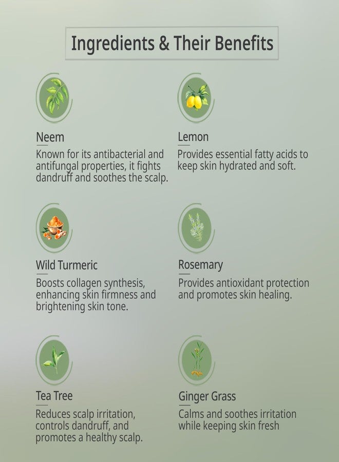 بيور إيلمنتس شامبو بيور إيليمنتس العضوي المضاد للقشرة، خالٍ من الكبريتات، بخلاصة النيم - Image 5