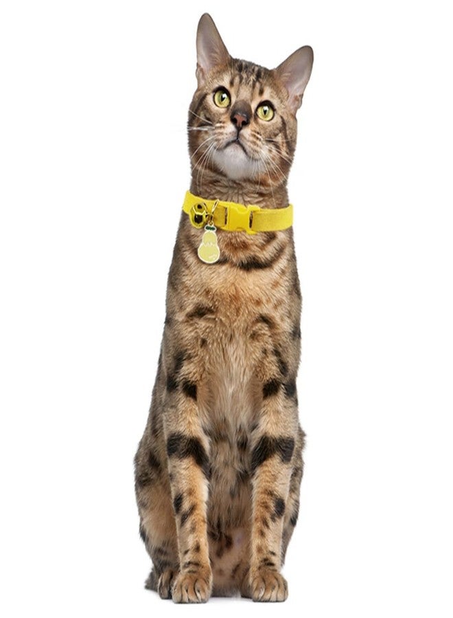 cyhaen Yellow Cat Collar with Bell, Pretty Soft Kitten Collor Male Puppy Collars with Bells for XXS XS Tiny Pet Male Littel Dogs Animal, XSmall - Image 3