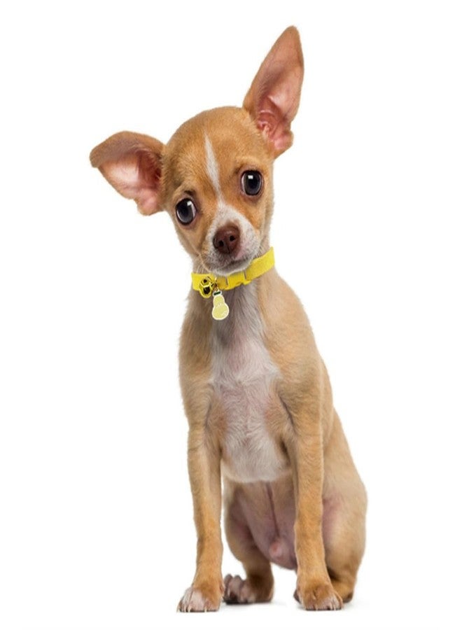 cyhaen Yellow Cat Collar with Bell, Pretty Soft Kitten Collor Male Puppy Collars with Bells for XXS XS Tiny Pet Male Littel Dogs Animal, XSmall - Image 2