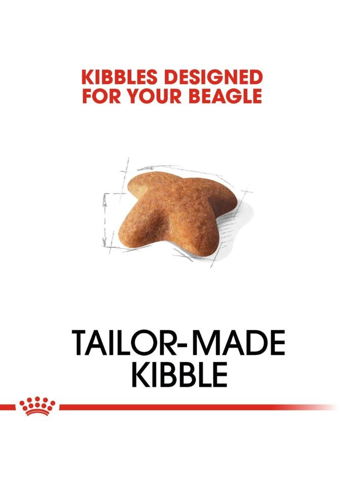 رويال كانين صحة وتغذية سلالة بيجل للبالغين 3 كجم - Image 2