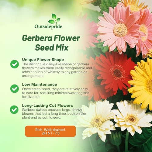 Outsidepride Hybrids Mix Gerbera Seeds - 100 Pcs Perennial, Compact & Low Maintenance, Flower Seeds for Planting w/Vibrant Mixed Blooms, Ideal for Garden Landscaping & Cut Flower Arrangements - Image 3