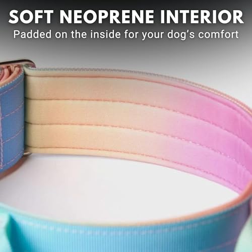 Spark Paws Tactical Dog Collar with Handle - Premium Quality Collar, Robust and Durable Design for Large, Strong Breeds - Pitbulls, Labradors, GSD - Pastel Icing - L - Image 4