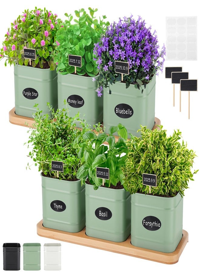 LemonRoad 6 Pcs Indoor Herb Garden Planter Set with Drainage and Tray Farmhouse Metal Planter Pots Kit with DIY Label Bamboo Tray Windowsill Kitchen for Lavender Rosemary Vegetable(Sage Green,Square) - Image 1