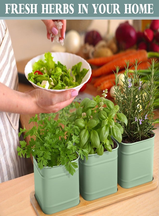 LemonRoad 6 Pcs Indoor Herb Garden Planter Set with Drainage and Tray Farmhouse Metal Planter Pots Kit with DIY Label Bamboo Tray Windowsill Kitchen for Lavender Rosemary Vegetable(Sage Green,Square) - Image 4