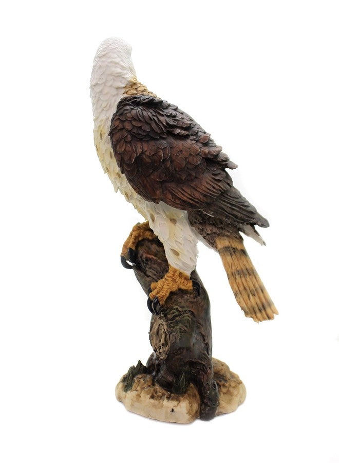 باسيفيك جيفتوير تمثال نسر أحمر الذيل من مجموعة Pacific Giftware Wildlife، 10 بوصات - Image 2