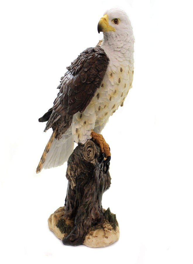 باسيفيك جيفتوير تمثال نسر أحمر الذيل من مجموعة Pacific Giftware Wildlife، 10 بوصات - Image 1