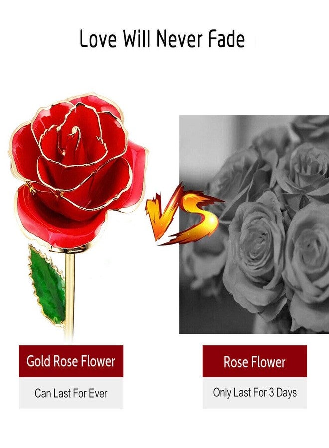 ENJOYPRO Valentines Day Gifts for Her, Real Rose Dipped in 24K Gold, Preserved Rose Flower, Golden Dipped Rose for Valentine's Day, Mothers Day, Wedding - Image 4
