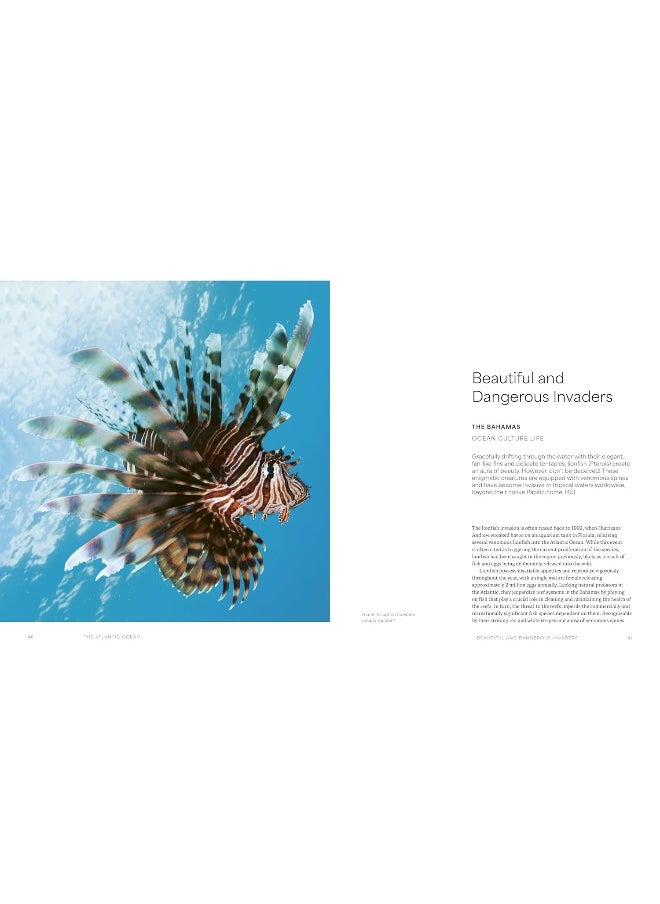 The Ocean Speaks: A Photographic Journey of Discovery and Hope