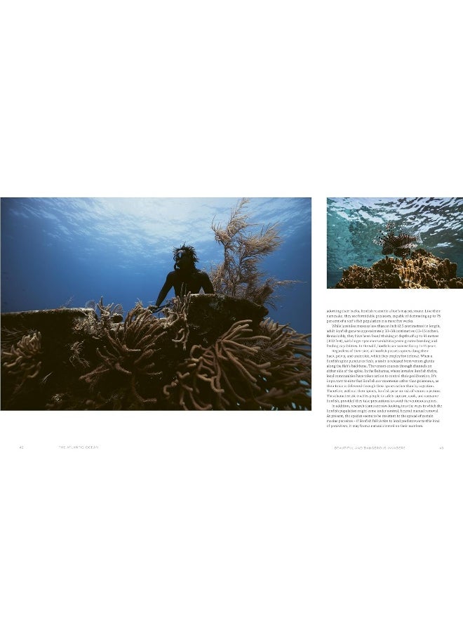 The Ocean Speaks: A Photographic Journey of Discovery and Hope