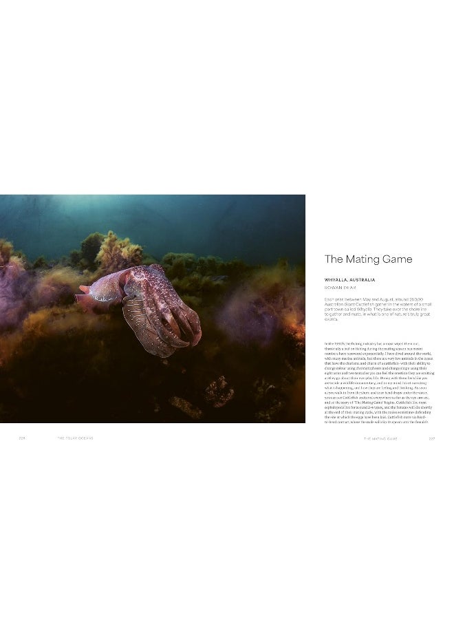 The Ocean Speaks: A Photographic Journey of Discovery and Hope