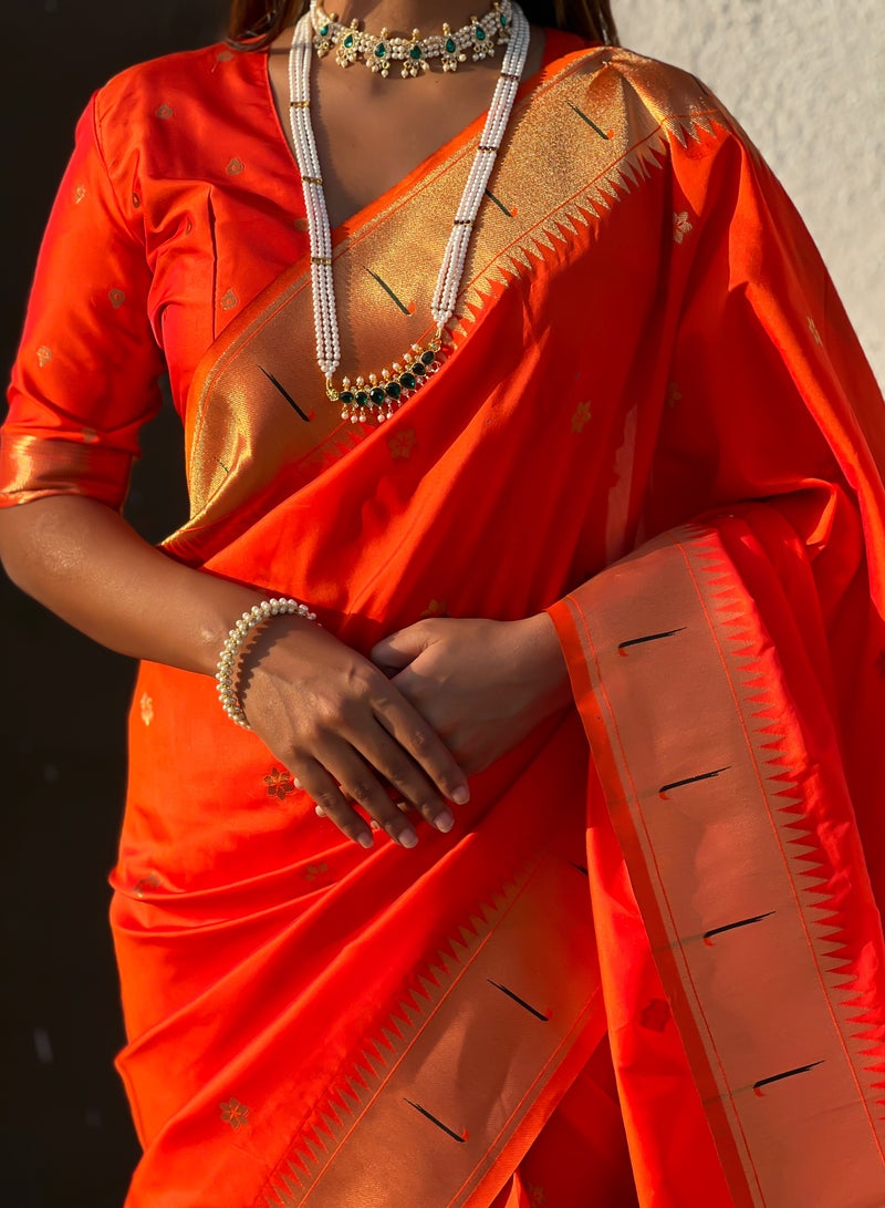 Super Asian Vintage-Inspired Saree with Rich Border & Royal Heritage Design  - Image 2
