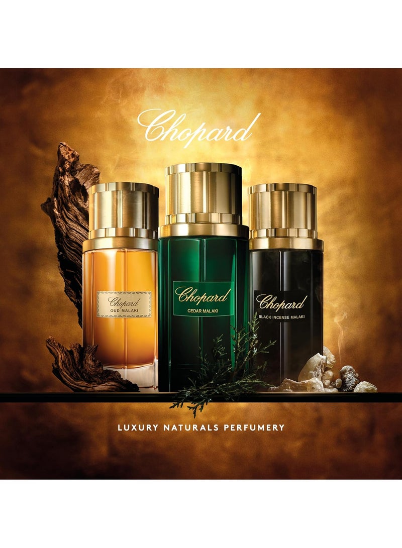 شوبارد ويش عطر شوبارد بلاك انسنس ملكي او دو بارفيوم 80مل - Image 4
