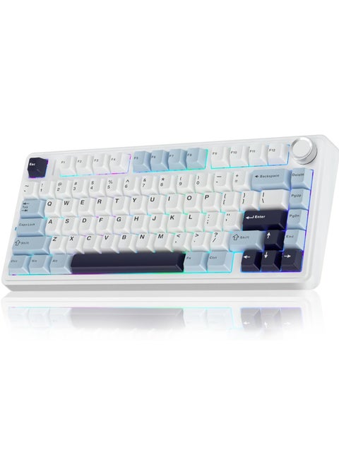 F75 Wireless Mechanical Keyboard Switches RGB Backlit Gaming Keyboard