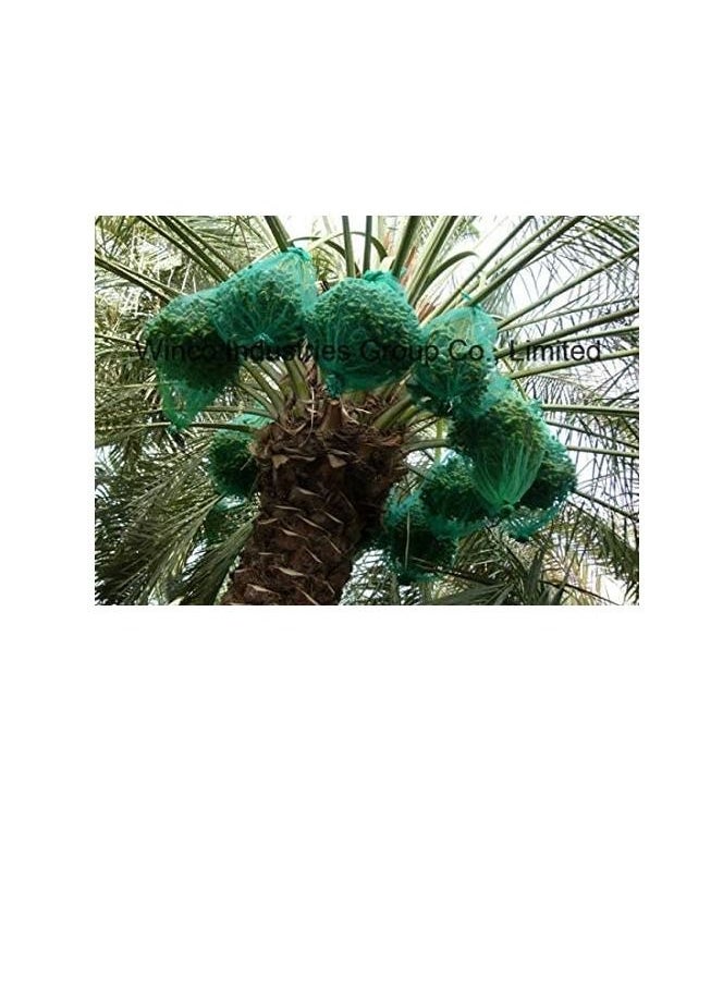 AQSON Date Cover Bag  90 x 70 cm (100pcs)  - Image 3