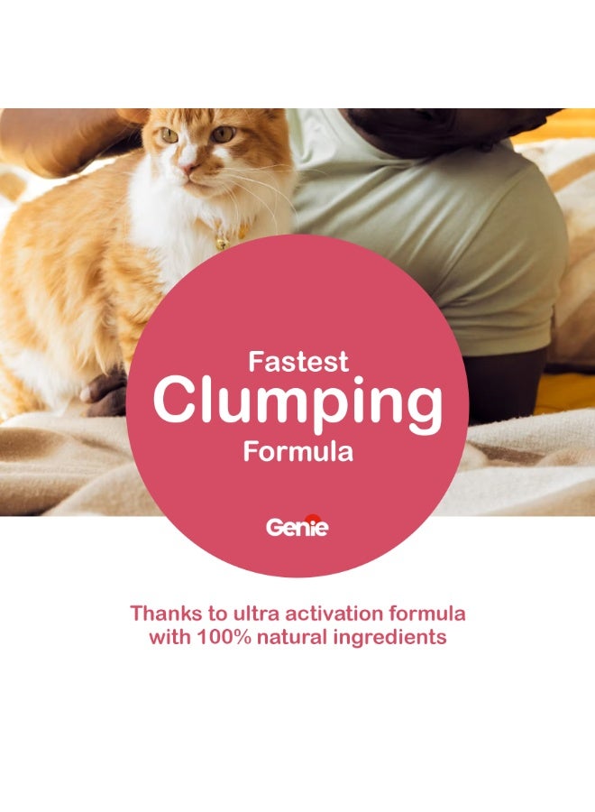 Genie Bundle Of 4x Genie Cat litter Clumping Total of 25 Litres -  Baby Powder - Image 4