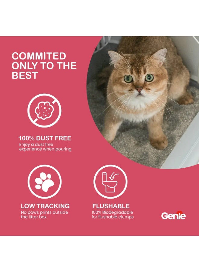 Genie Bundle Of 4x Genie Cat litter Clumping Total of 25 Litres -  Baby Powder - Image 5