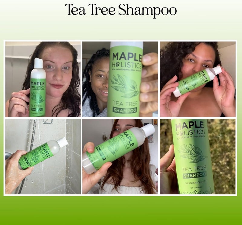 Maple Holistics Pure Tea Tree Oil Shampoo for Dandruff Jojoba Rosemary Argan Oil Itchy Scalp Best Selling Sulfate Free Natural Hair Care for Oily Greasy Flaky Hair Scalp Therapy Color Safe Treatment Soft Shiny Hair - Image 2