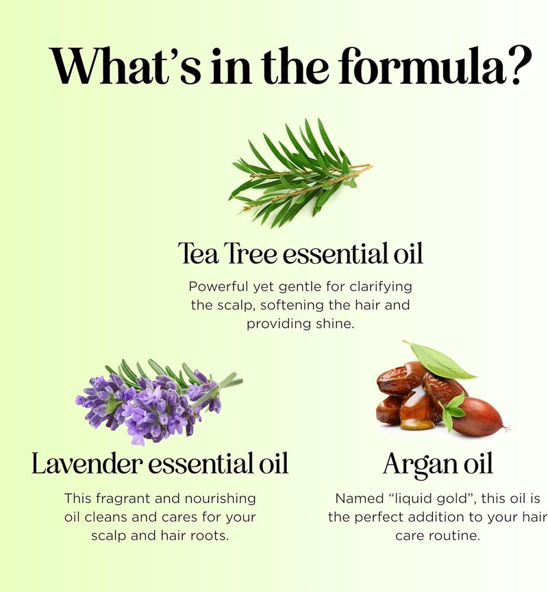 Maple Holistics Pure Tea Tree Oil Shampoo for Dandruff Jojoba Rosemary Argan Oil Itchy Scalp Best Selling Sulfate Free Natural Hair Care for Oily Greasy Flaky Hair Scalp Therapy Color Safe Treatment Soft Shiny Hair - Image 5