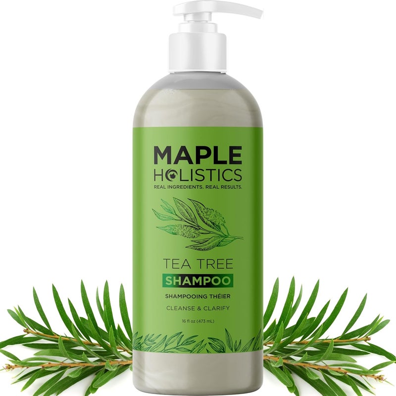 Maple Holistics Pure Tea Tree Oil Shampoo for Dandruff Jojoba Rosemary Argan Oil Itchy Scalp Best Selling Sulfate Free Natural Hair Care for Oily Greasy Flaky Hair Scalp Therapy Color Safe Treatment Soft Shiny Hair - Image 1