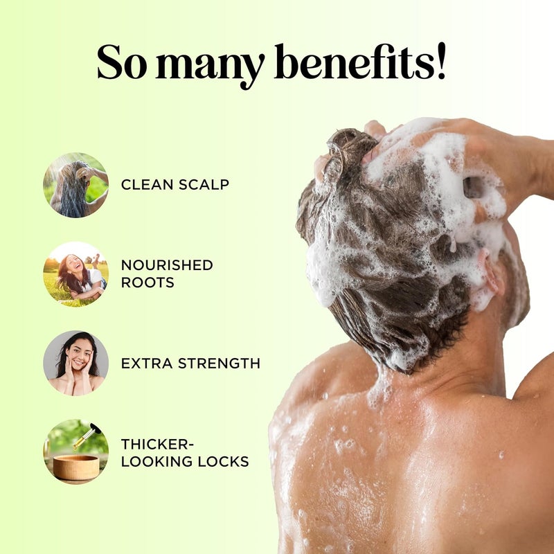 Maple Holistics Pure Tea Tree Oil Shampoo for Dandruff Jojoba Rosemary Argan Oil Itchy Scalp Best Selling Sulfate Free Natural Hair Care for Oily Greasy Flaky Hair Scalp Therapy Color Safe Treatment Soft Shiny Hair - Image 3