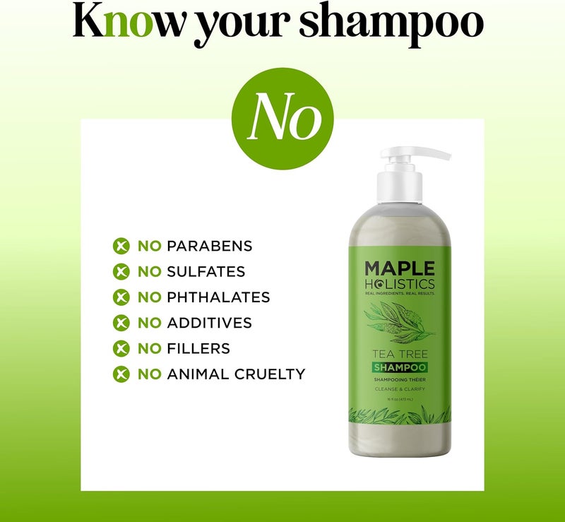 Maple Holistics Pure Tea Tree Oil Shampoo for Dandruff Jojoba Rosemary Argan Oil Itchy Scalp Best Selling Sulfate Free Natural Hair Care for Oily Greasy Flaky Hair Scalp Therapy Color Safe Treatment Soft Shiny Hair - Image 4
