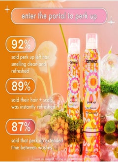 amika AMIKA Planet Perk Up Dry Shampoo Duo - Limited Edition Talc-Free Oil-Absorbing Dry Shampoo Set for Fresh, Voluminous Hair  - Image 2