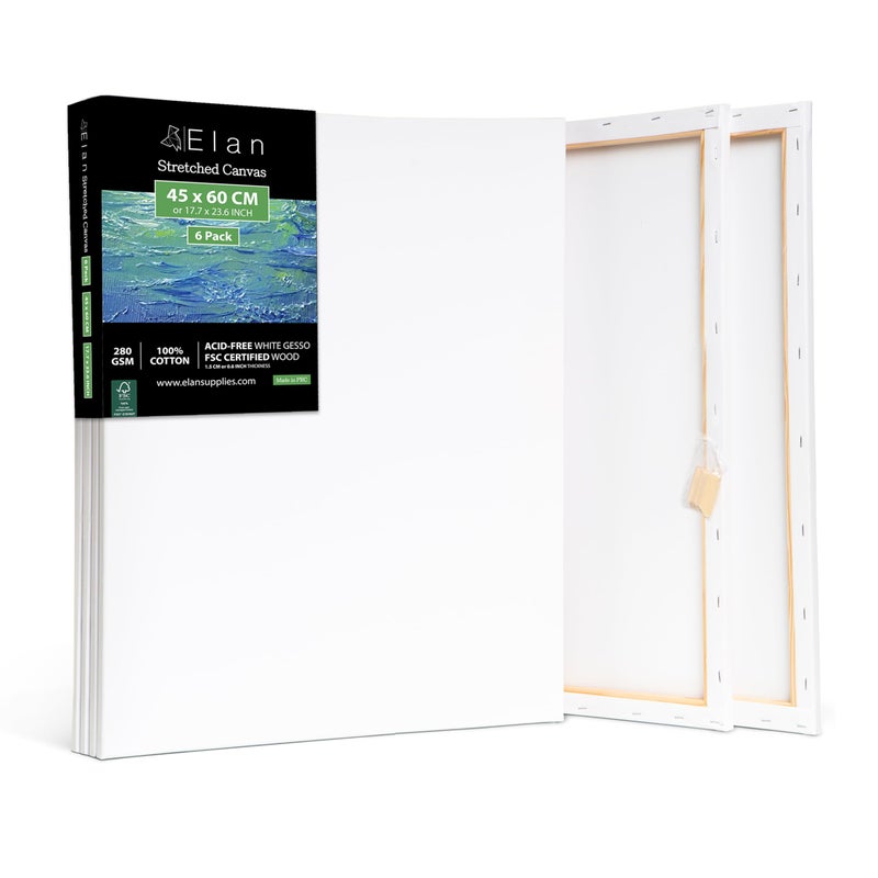 Elan Stretched Canvases 45x60 CM 6Pack A2 Canvas for Painting 280 GSM Triple Primed Stretched Canvas for Painting 45x60 CM Art Canvases