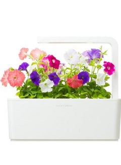CLICK AND GROW Click  Grow Seeds Petunia  - Image 2