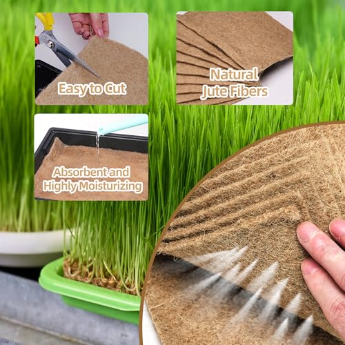 UCandy 10 Pack Jute Grow Mat for Microgreens, 5" x 5" Hydroponic Grow Pads for Growing Tray Sprouting Trays Jute Fiber Seed Starter Planting for Micro Greens & Wheatgrass - Image 4