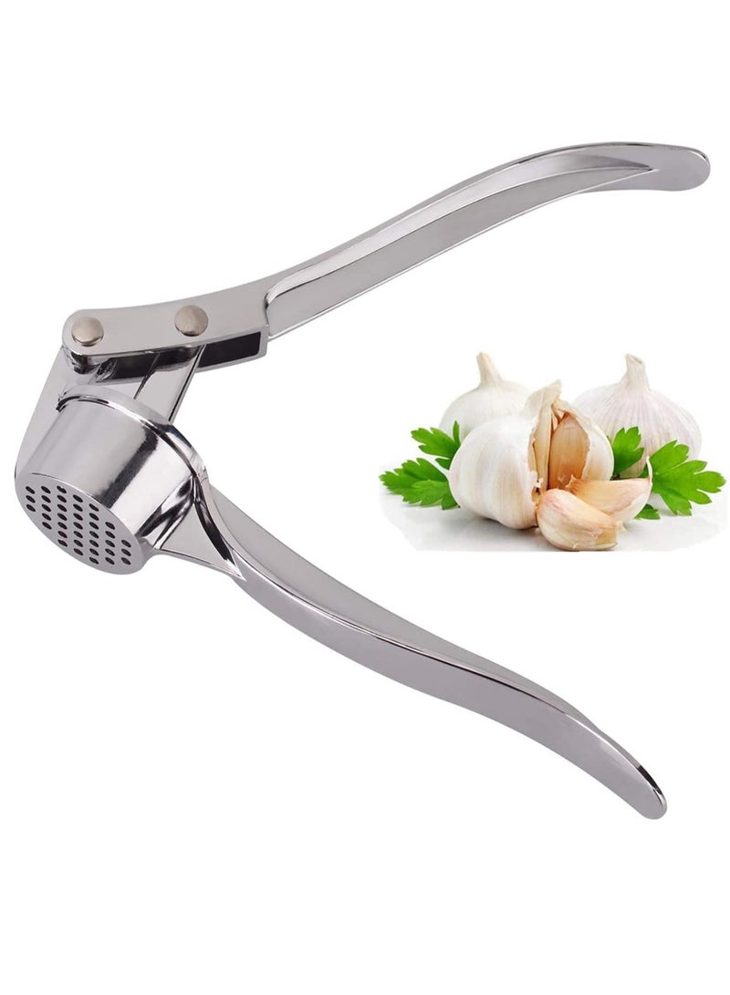 إيروريكس مكبسة الثوم المصنوعة من الفولاذ المقاوم للصدأ، سحق الثوم والزنجبيل بسهولة، أدوات المطبخ الصغيرة المصنوعة من سبائك الزنك، سهلة الاستخدام والتنظيف، مقبض غير قابل للانزلاق للمطبخ المنزلي في المطاعم - Image 1