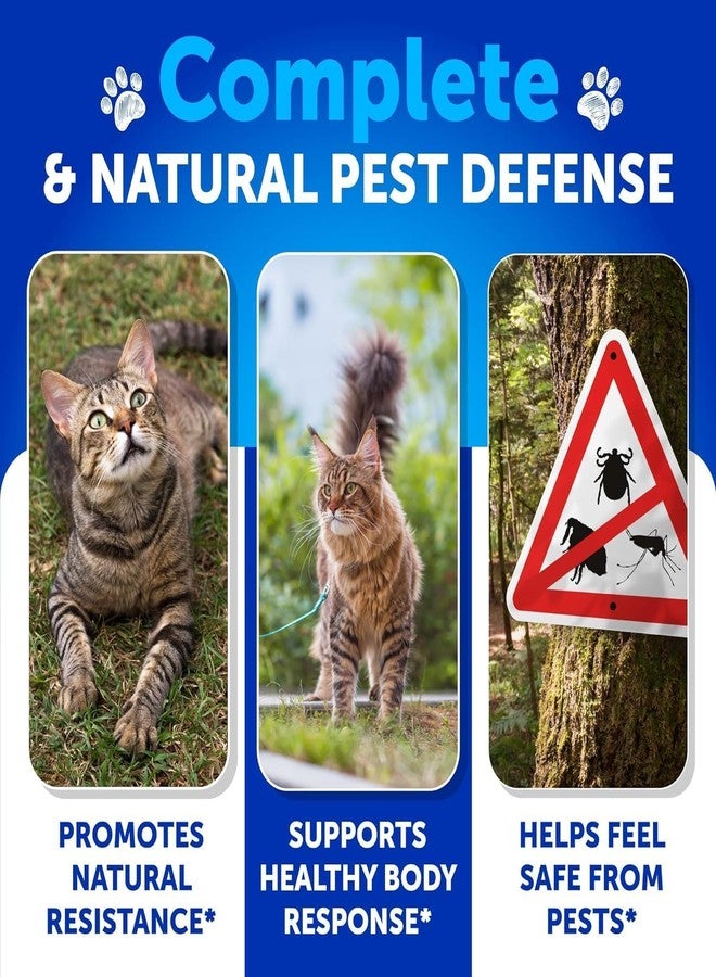 Artullano Flea Treatment for Cats - Natural Flea and Tick Prevention Supplement for Cats, Kittens - Chewable Daily Oral Pills with Vitamins - 135 Soft Chews - Dental Treats, Digestive Health, Immune Support - Image 3