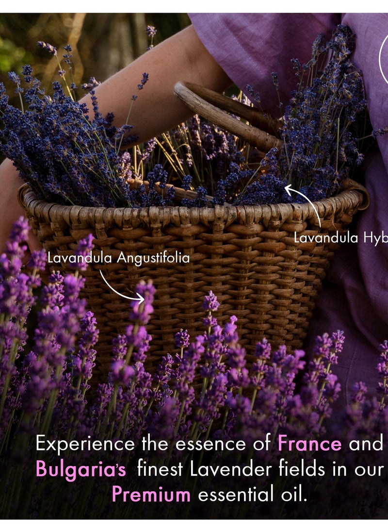 Majestic Pure Lavender Essential Oil 118 ml - Huge  with Glass Dropper | 100% Pure and Natural | Premium Grade Essential Oils for Aromatherapy, Diffusers, Skin, Massage and Humidifiers |  - Image 3