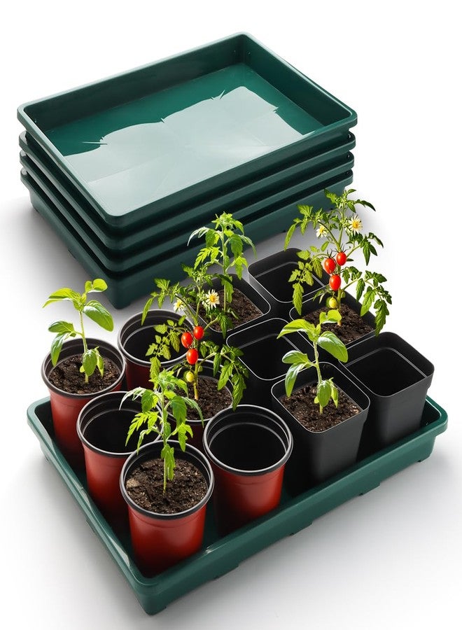 RooTrimmer صواني بدء البذور RooTrimmer 5 عبوات (17"x11"x2"), صواني بلاستيكية لشتلات النباتات, صواني بدء شتلات متينة, صواني قابلة لإعادة الاستخدام للزراعة وجمع مياه الصرف (أخضر) - Image 1