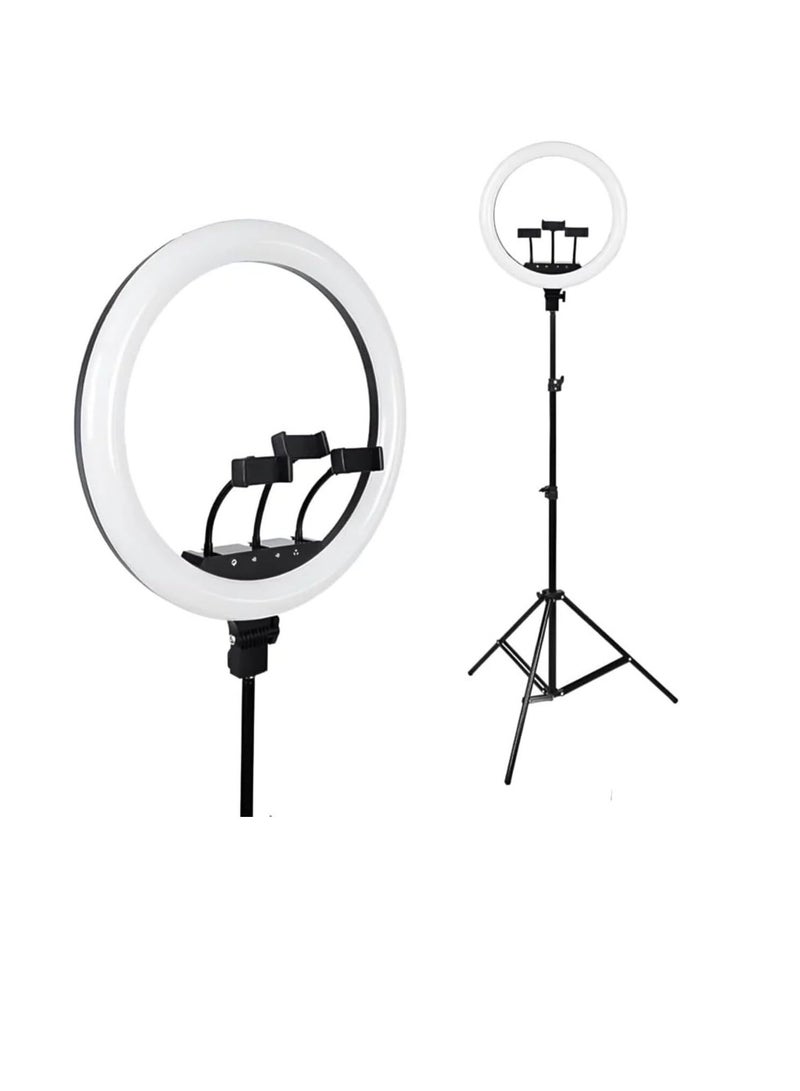 LED Ring Light with 3 Color Modes, Dimmable for Photography, YouTube, Video Clips, and Live Streaming (Includes 3 Stands + Remote Control, 35.5 cm + Stand) - Image 1