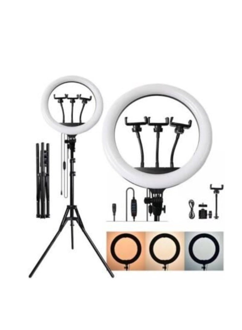 LED Ring Light with 3 Color Modes, Dimmable for Photography, YouTube, Video Clips, and Live Streaming (Includes 3 Stands + Remote Control, 35.5 cm + Stand) - Image 2
