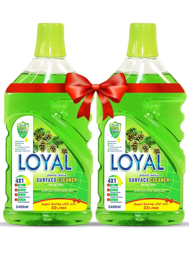 لويال منظف ​​أسطح 2 × 2400 مل - ربيعي