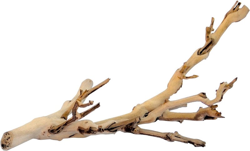 Exo Terra Forest Branch for Reptiles and Amphibians - Small Size - Image 3