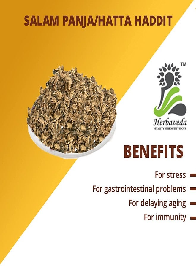 LEANBEING Herbaveda Salam panja (Asli) | Hatta haddit | Panchaule Dactylorhiza Hatagirea | Salab Panja | सालमपंजा | Panja Feeka | Lucky Hand Root | Non Sweet (25g) - Image 3