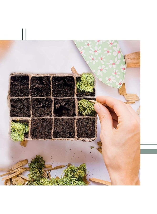 10 قطع من أواني الخث لبدء زراعة البذور، طقم صواني لبدء زراعة البذور، مع ملصقات نباتية بلاستيكية، عضوية قابلة للتحلل، لبدء زراعة البذور - Image 4