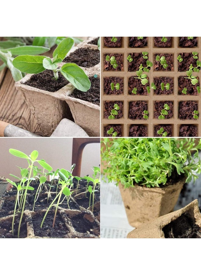 10 قطع من أواني الخث لبدء زراعة البذور، طقم صواني لبدء زراعة البذور، مع ملصقات نباتية بلاستيكية، عضوية قابلة للتحلل، لبدء زراعة البذور - Image 3