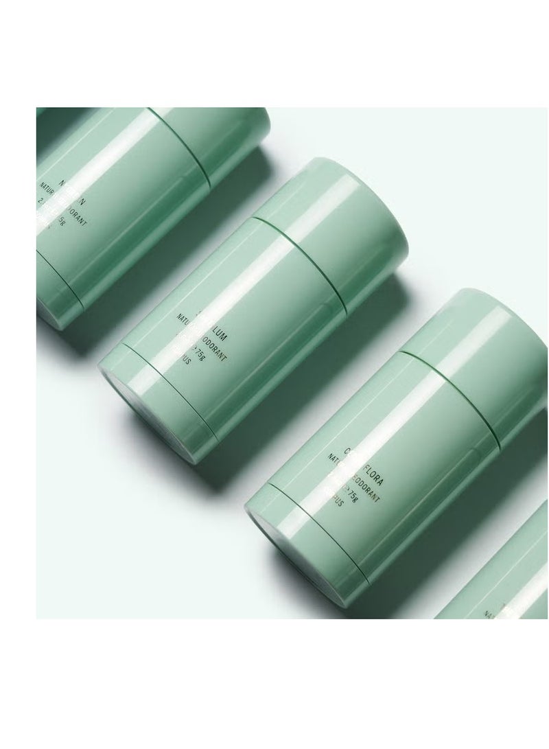 Corpus Santalum Deodorant Stick 75g - Image 4