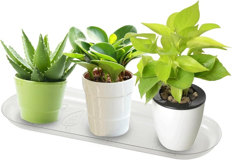 Idyllize Store Oval 5 Pieces of 12 by 6 1/4 Inches Clear Thick Plastic Heavy Duty Sturdy Plant Saucer Drip Trays for pots, Window Sills and Window Shelf (12'' x 6.25'') - Image 5