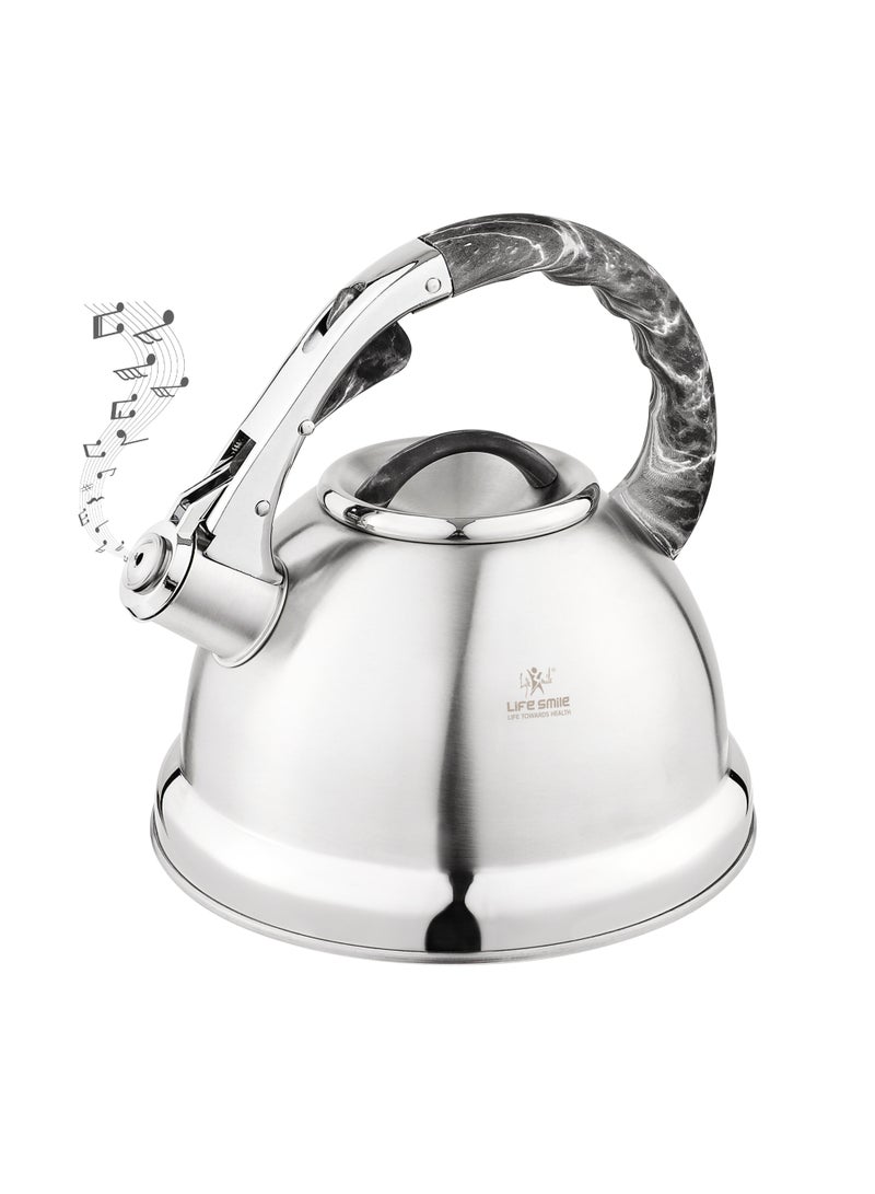 Life Smile 18/10 Stainless steel Kettle-3.0L Kettle with Whistle Spout And Heat Resistant Handle-Stable Base-12cups Capacity-For all Stovetops - Image 1