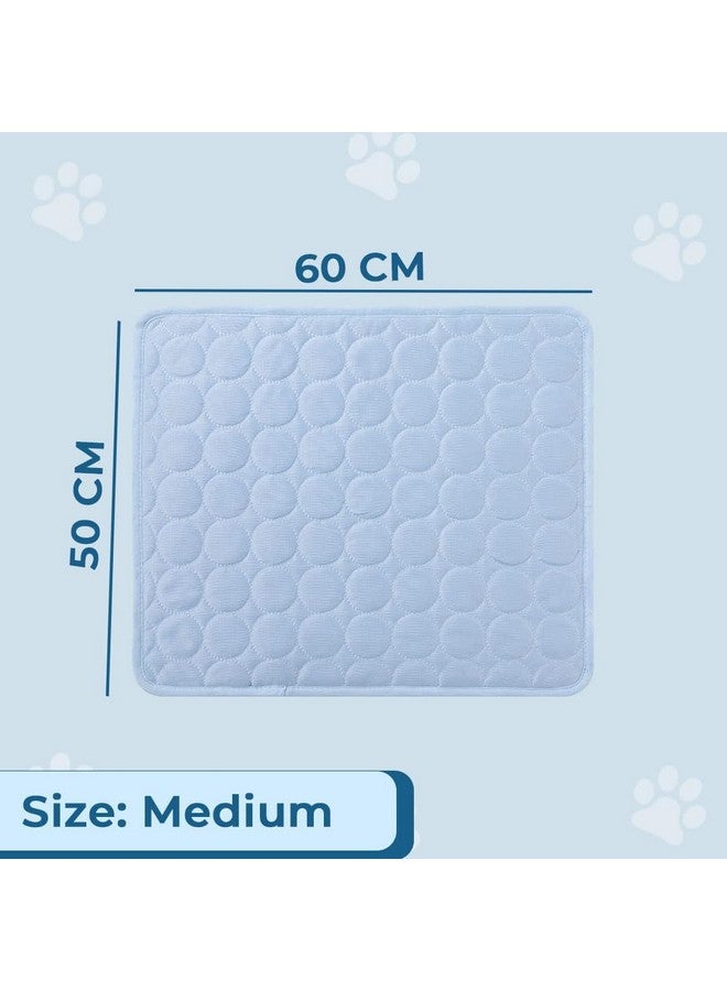 Kuber Industries Rectangular Dog & Cat Bed|Premium Cool Ice Silk With Polyester With Bottom Mesh|Multi-Utility Self-Cooling Pad For Dog & Cat|Light-Weight & Durable Dog Bed|Zqcj001Lb-M|Light Blue - Image 2